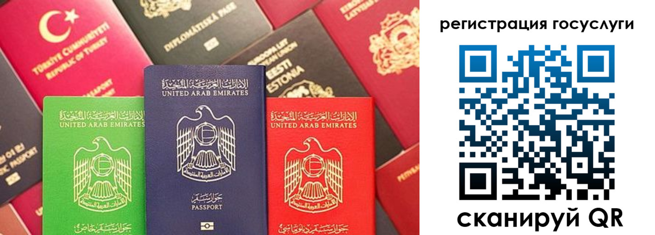 временная регистрация недорого в Таре
